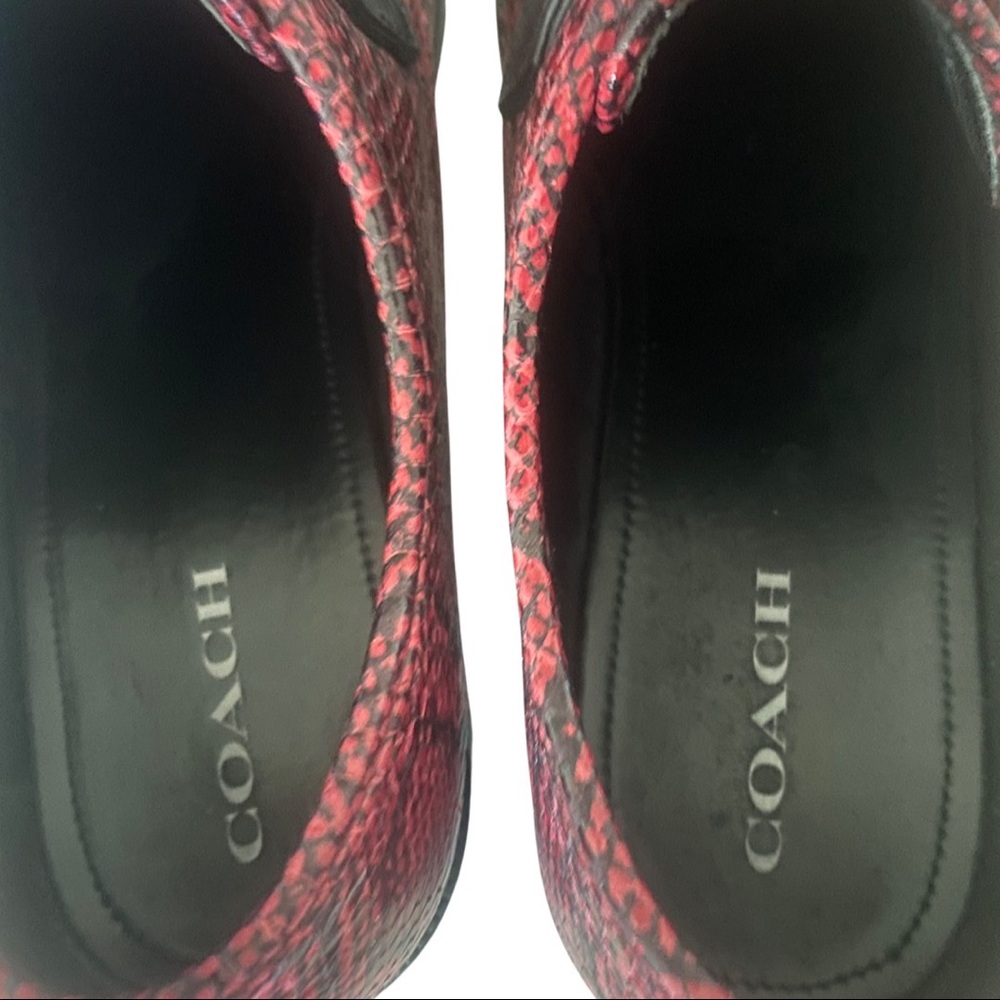 🔥 Coach snakeskin shoes - Picture 4 of 7